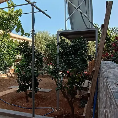 Joanna S * Petalídhion