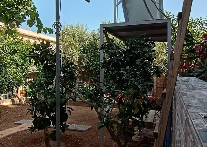 Joanna S * Petalídhion